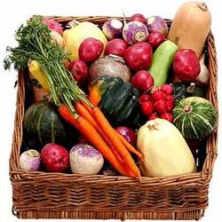Fresh Vegetables Manufacturer Supplier Wholesale Exporter Importer Buyer Trader Retailer in Chennai Tamil Nadu India
